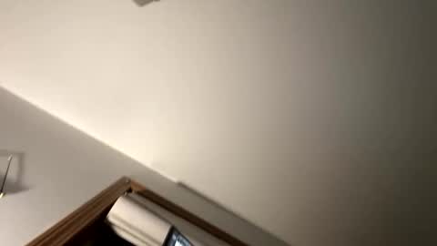 dylareus96 online show from February 2025 01:13:02 AM