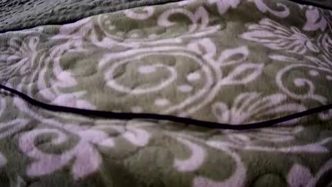 eatermo online show from April 2026 07:34:01 AM