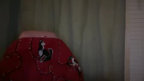 americnbarbie online show from November 2025 02:21:01 AM