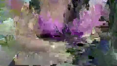 ebonybigtitqueen3 online show from November 2025 01:48:02 AM