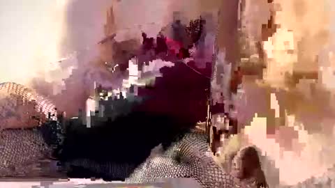 AliceTurner online show from March 2026 07:17:01 PM