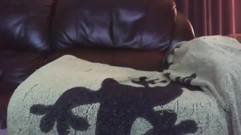 Snapshot of ectopicstarfish chatting on December 2024 08:41:01 AM Ectopicstarfish online show from December 2024 08:41:01 AM