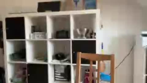 eddelmar online show from July 2026 09:41:01 AM