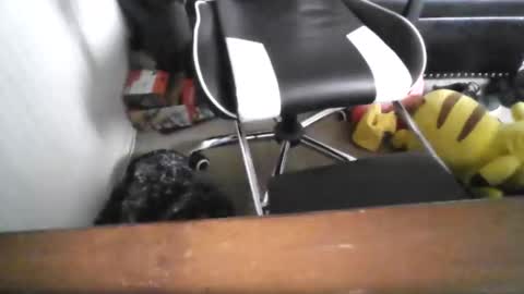 eddy815 online show from November 2025 10:53:02 PM