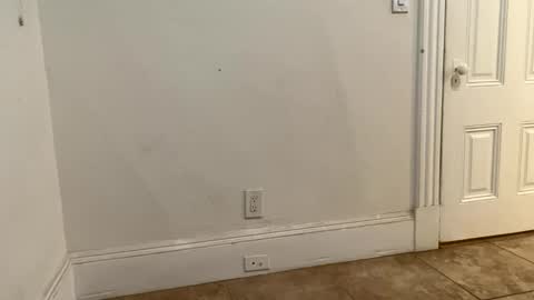 Snapshot of edvmendez1766 chatting on November 2025 03:23:02 AM edvmendez1766 online show from November 2025 03:23:02 AM