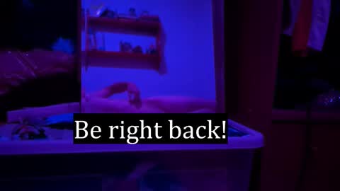 Snapshot of edwarh_01 chatting on February 2026 02:53:01 AM Alex online show from February 2026 02:53:01 AM