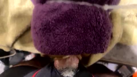 ehdgher online show from December 2025 09:03:02 AM