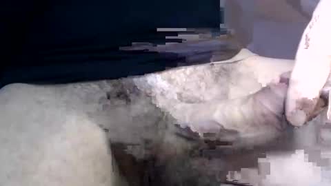 Snapshot of el_gato_lusty chatting on January 2025 01:42:01 PM el gato lusty online show from January 2025 01:42:01 PM