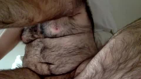 Snapshot of elago chatting on December 2024 03:33:02 PM elabear online show from December 2024 03:33:02 PM