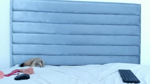 elaisaprincess online show from February 2025 01:04:02 AM