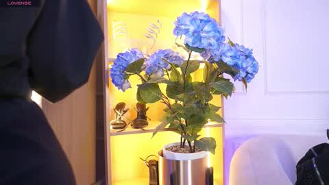 Elasummeer online show from December 2025 11:50:01 AM