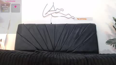 Snapshot of electra_tay chatting on September 2025 07:19:02 PM electra_tay online show from September 2025 07:19:02 PM