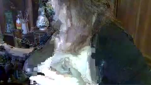 Snapshot of elenazed chatting on October 2025 09:40:02 AM ElenaZed online show from October 2025 09:40:02 AM