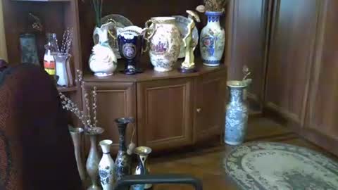 Snapshot of elenazed chatting on October 2025 11:43:01 AM ElenaZed online show from October 2025 11:43:01 AM