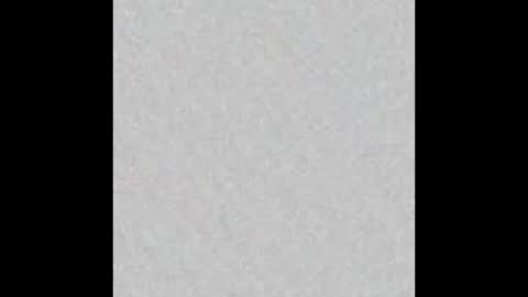 elephant_titus online show from January 2025 11:02:02 AM