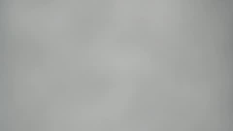 Elis online show from February 2026 08:35:02 AM