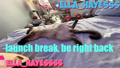 Snapshot of ella_hayes chatting on January 2025 12:45:01 AM Ella NEXT STREAM 1TH DECEMBER 1200 - 0800 AM AT MOSCOW TIME online show from January 2025 12:45:01 AM
