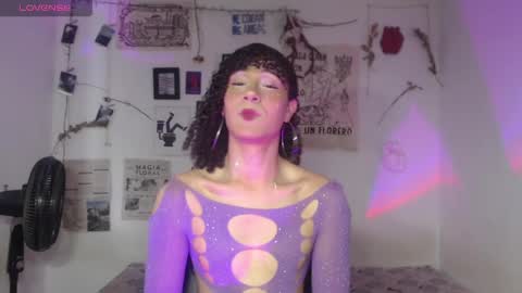  . online show from February 2026 05:14:01 PM