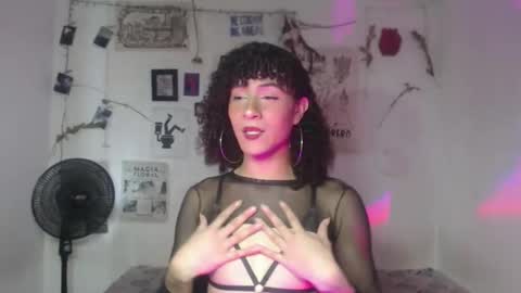  . online show from March 2026 07:53:01 PM