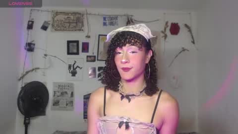  . online show from March 2026 01:27:02 PM