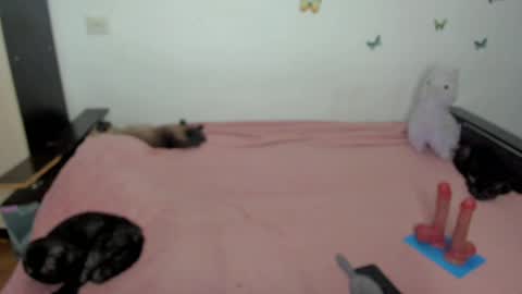 Elsa online show from May 2026 06:23:02 PM