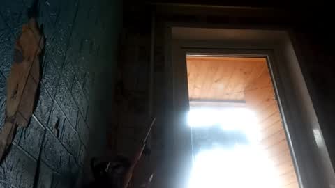 Alisa online show from April 2026 09:45:01 AM