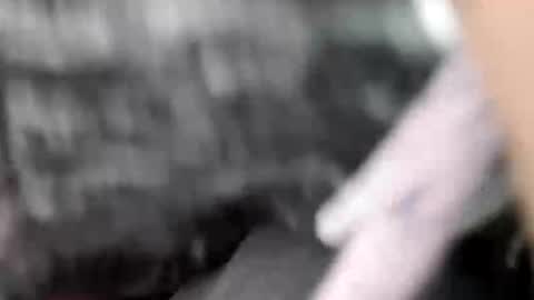 elvergg1 online show from February 2026 07:18:01 AM