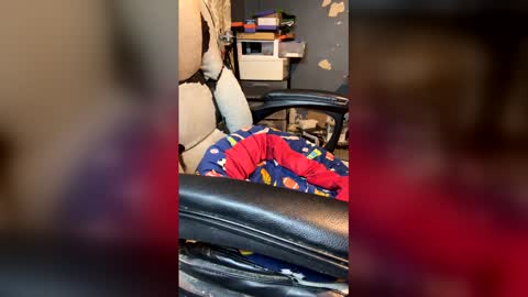 elvergg1 online show from April 2026 01:37:02 AM