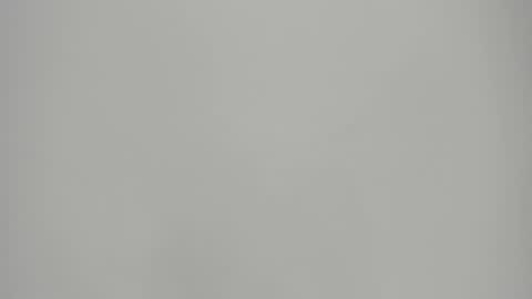   online show from January 2025 08:37:01 PM