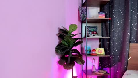 .  . online show from December 2024 09:09:01 PM