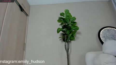 Snapshot of emily_huddson_ chatting on June 2026 09:49:01 PM independet model online show from June 2026 09:49:01 PM