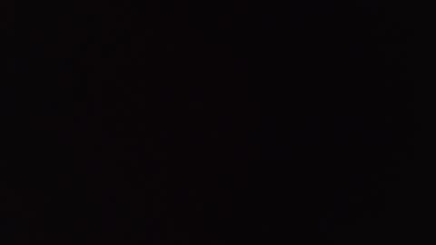       online show from November 2025 12:26:01 PM