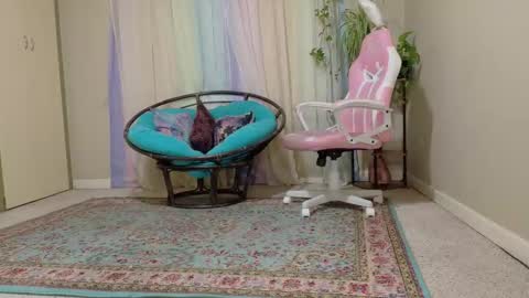 emily haze online show from November 2025 05:56:02 PM