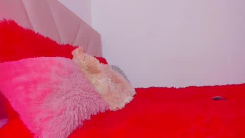 Snapshot of emy_colee chatting on December 2024 02:11:01 PM Emy online show from December 2024 02:11:01 PM