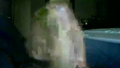 Snapshot of encormoi chatting on November 2025 08:46:02 AM encormoi online show from November 2025 08:46:02 AM