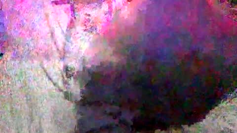 Batman online show from January 2025 02:33:02 PM