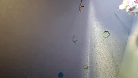 errrow online show from December 2024 06:24:02 PM