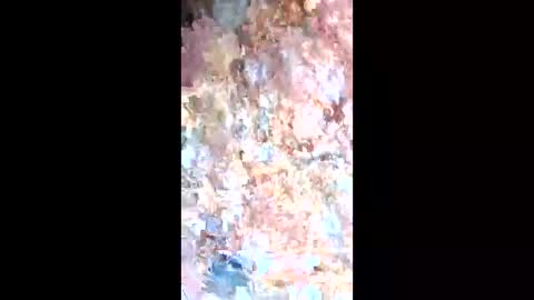 esteralcantara online show from February 2026 05:50:01 PM