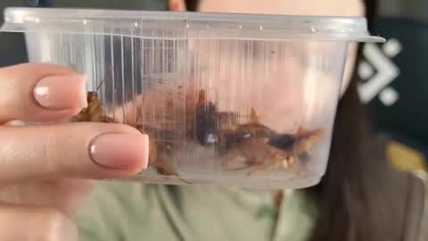 Snapshot of esterhernandes chatting on February 2026 02:07:01 PM kelt0901 - my channel in telegra online show from February 2026 02:07:01 PM