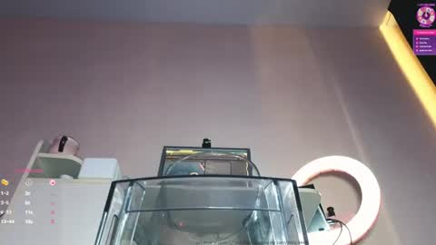 Snapshot of etel_fun chatting on July 2026 11:05:01 AM Etel online show from July 2026 11:05:01 AM