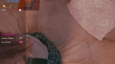 Snapshot of eva_gloss chatting on December 2024 08:55:02 PM Eva online show from December 2024 08:55:02 PM