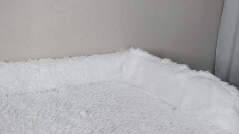 eva varnerr online show from February 2025 01:19:01 PM