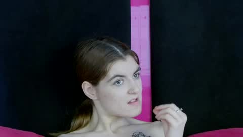 Snapshot of evelisse chatting on April 2026 01:41:02 PM Eve online show from April 2026 01:41:02 PM