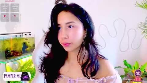 Im Eve or Chelle Next Stream 191224  online show from February 2026 01:51:02 PM