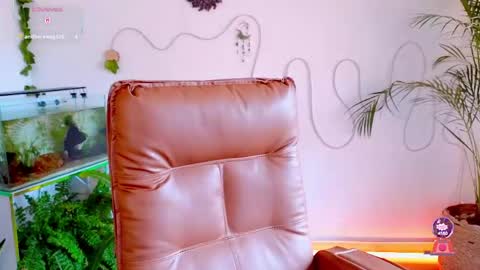 Im Eve or Chelle Next Stream 191224  online show from May 2026 06:37:01 PM