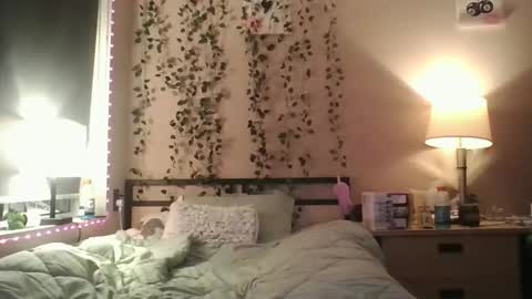 eviesins_xo online show from October 2025 01:39:01 AM