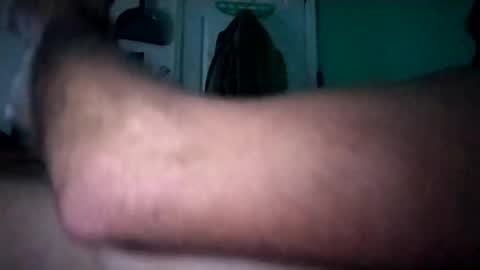 experttreecompany online show from February 2026 01:00:02 PM