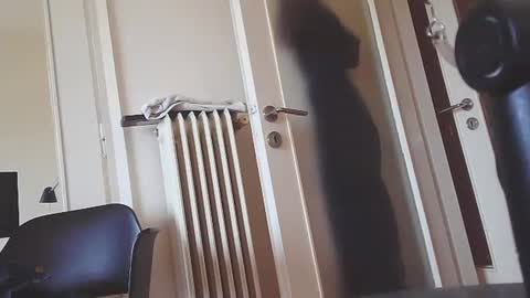 Snapshot of ezcoda chatting on January 2025 10:11:02 AM EZCODA online show from January 2025 10:11:02 AM