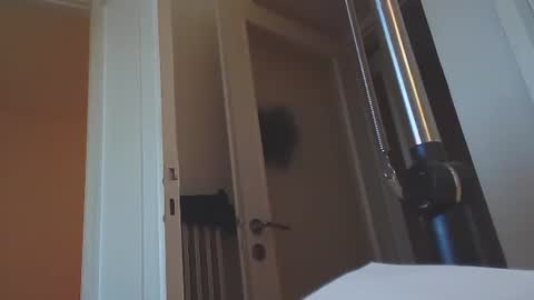 Snapshot of ezcoda chatting on January 2025 02:43:01 PM EZCODA online show from January 2025 02:43:01 PM