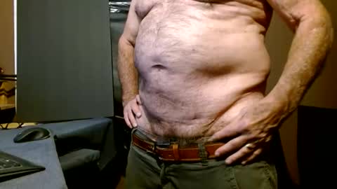 Snapshot of faber3 chatting on December 2024 08:34:01 PM What Do You Like online show from December 2024 08:34:01 PM